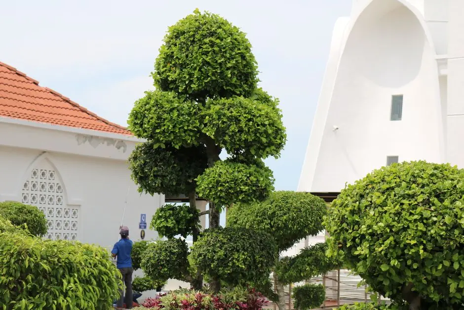 Greens & Outdoors at PARANJAPE ASPIRE, SV Patel Nagar, Mumbai