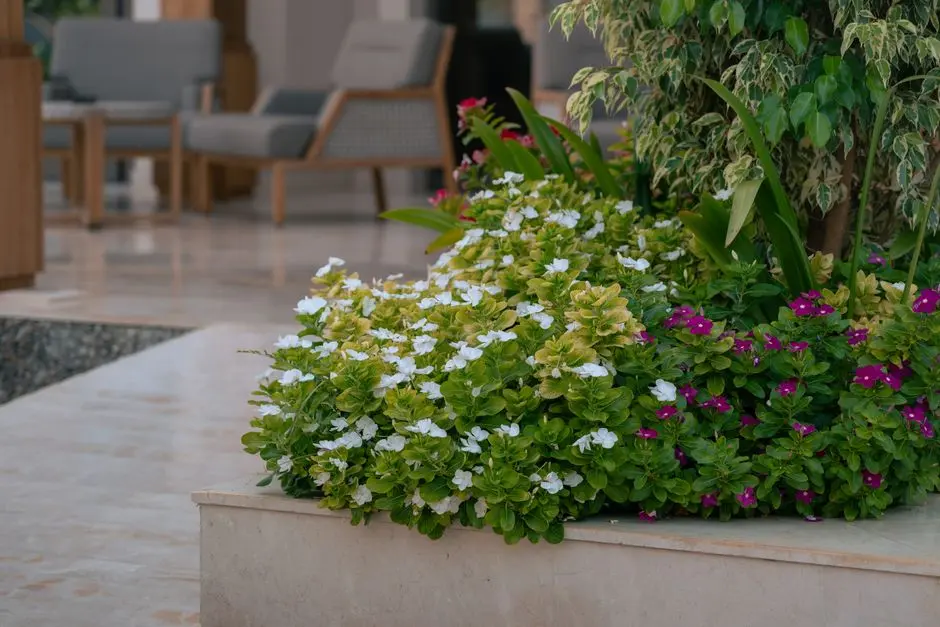 Greens & Outdoors at PARANJAPE BLUERIDGE THE GROVES, Hinjewadi Phase 1, Pune