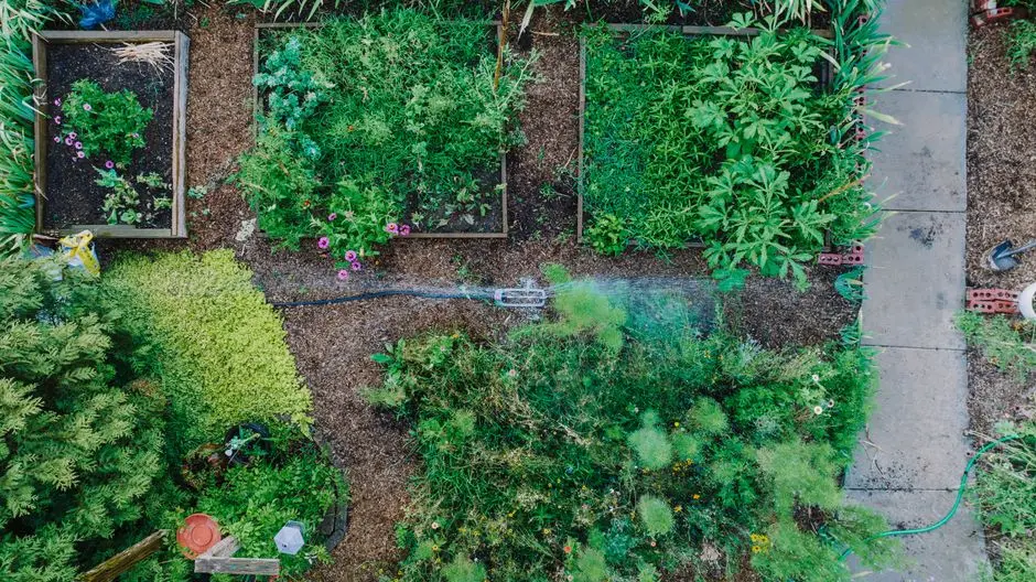 Greens & Outdoors at PARANJAPE ATHASHRI SYNERGY MAHALUNGE INGALE, Pune
