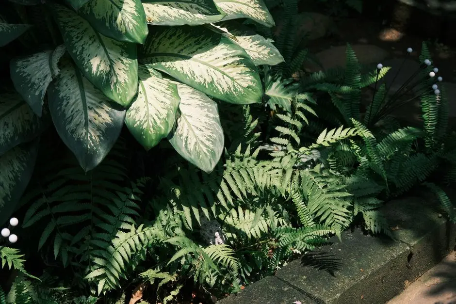 Greens & Outdoors at PARANJAPE KALEIDOSCOPE, Bhugaon, Pune