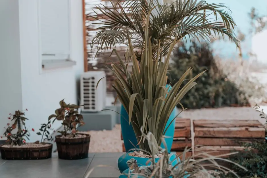 Greens & Outdoors at PARANJAPE WIND FIELDS, Kempapura, Bangalore