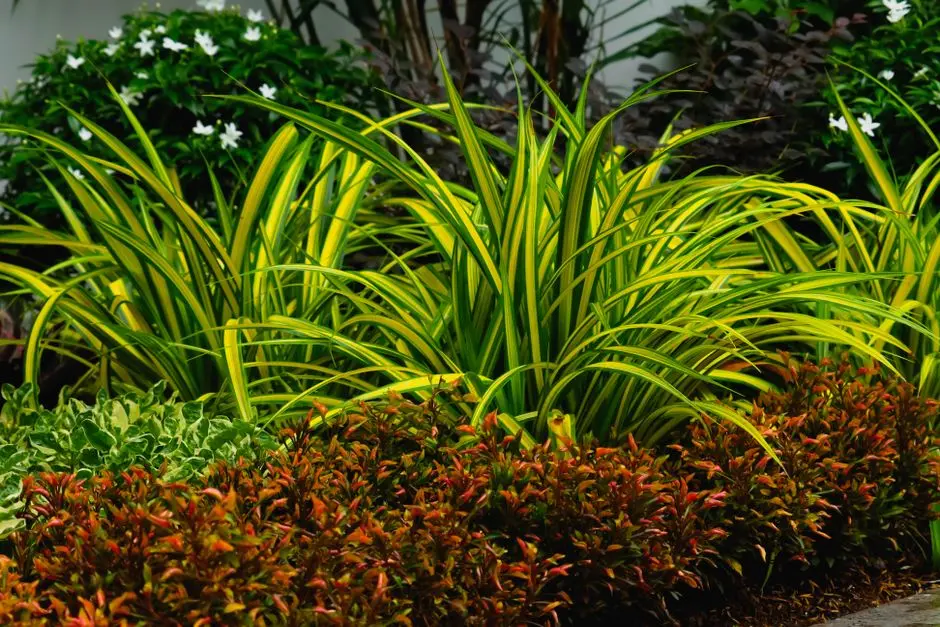 Greens & Outdoors at PARANJAPE VILLAS SHRIVEGA, Shekhadi, Raigad