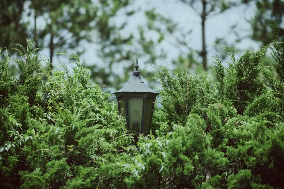 Greens & Outdoors at PARANJAPE THE PROMENADE RESIDENCES, Hinjewadi Phase 1, Pune